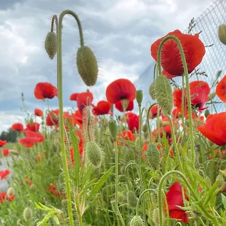 Dom wakacyjny Askan - 200m From The Sea By Interhome